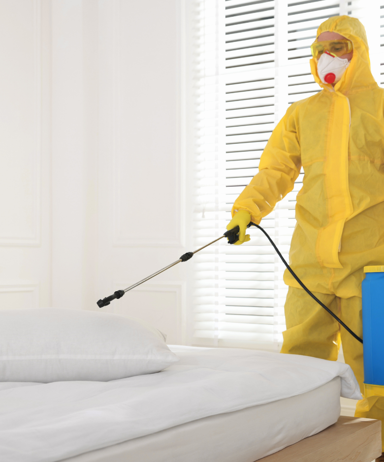 Professional Pest Control Team in Walkley Heights